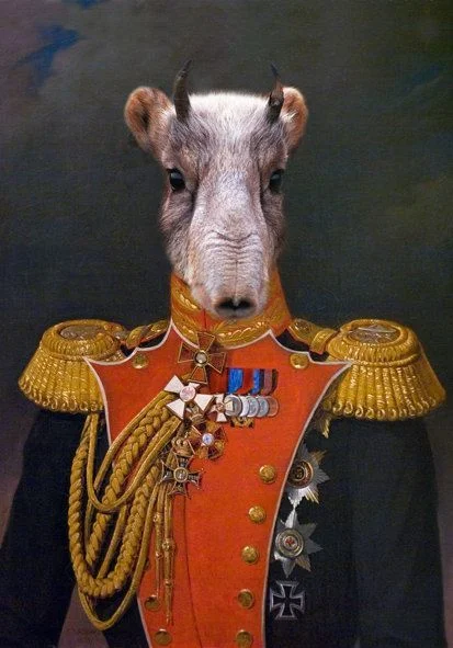 Cat Dog Cow Vintage Posters Animal Art Canvas Painting Posters and Print Wall Art for Living Room Home Decor (No Frame) 923