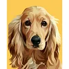 Painting By Numbers - DIY Dog(40*50cm)