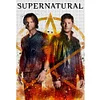 Supernatural-11CT Stamped Cross Stitch 40*60cm tapestrymarket
