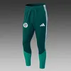 Joyfball 2026/2027 Algeria Half-Pull Training Suit Green Jersey