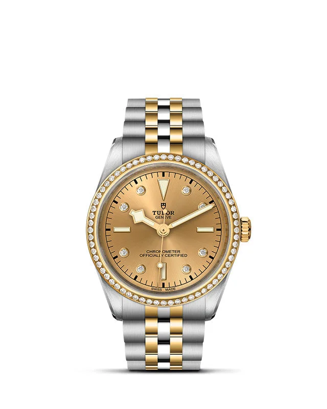 Tudor Black Bay 36 S&G