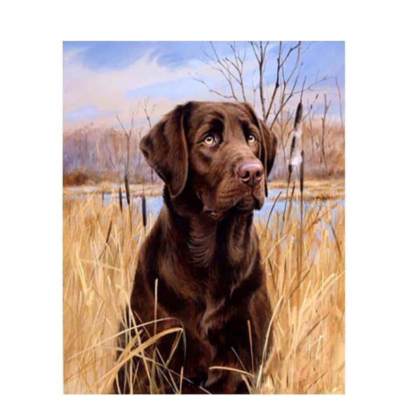 

Dog In The Grass – Paint By Numbers - 40*50CM, 501 Original