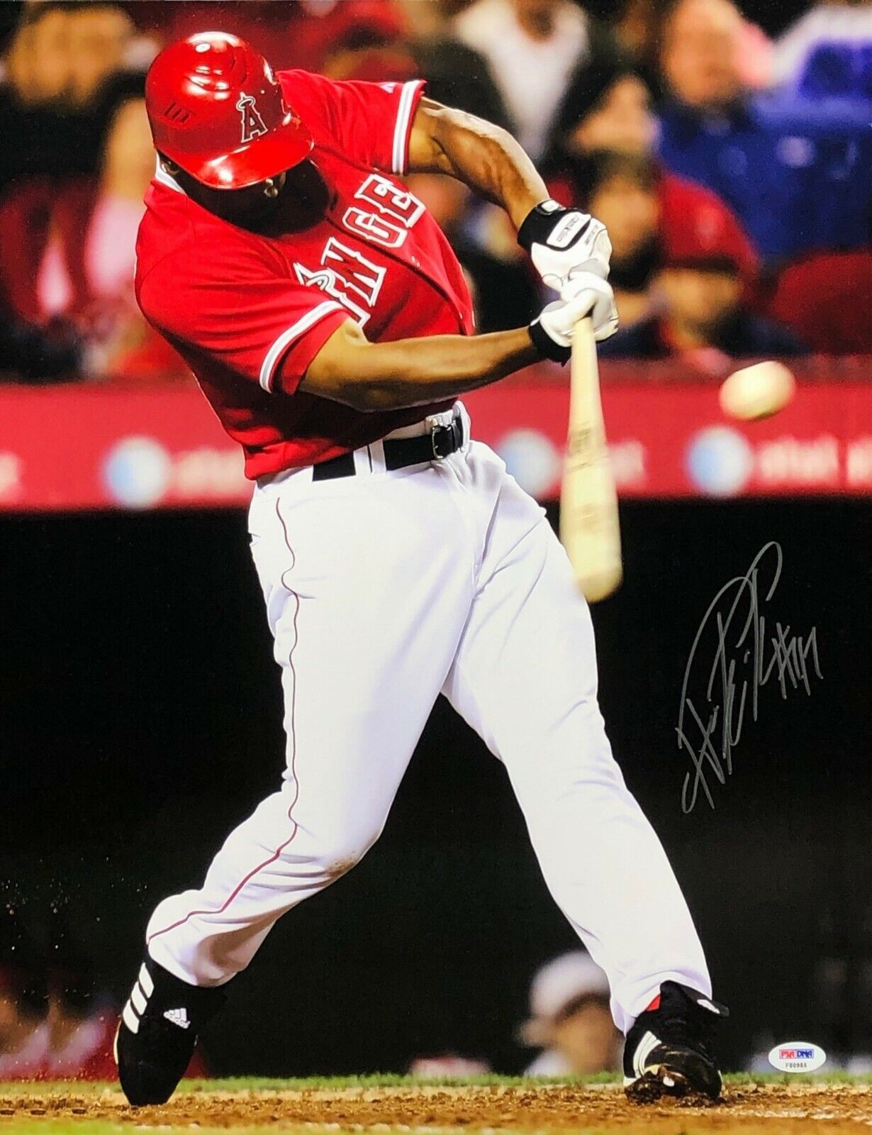 Howie Kendrick Signed Los Angeles Angels of Anaheim 16x20 Photo Poster painting PSA F80955