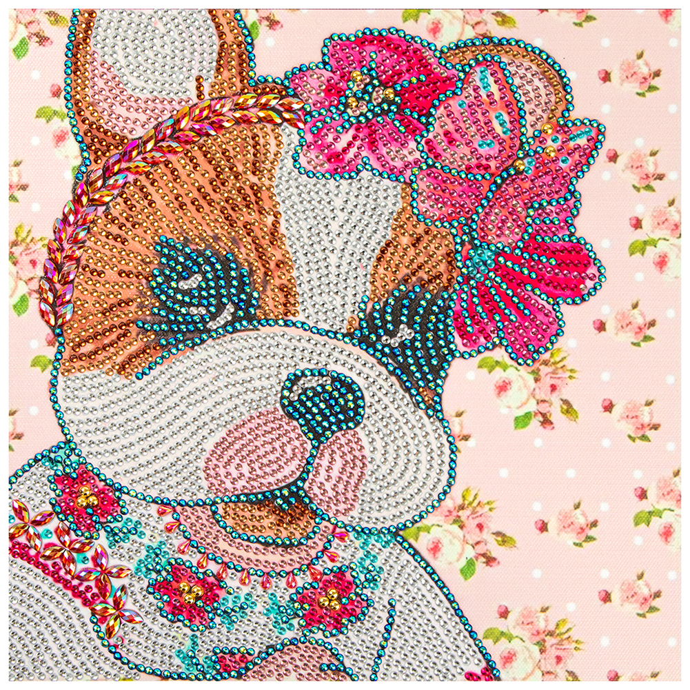 

Color Cat - Special Shaped Diamond Painting - 30*30CM, 501 Original