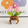 (Finished Product)Crochet Flower Potted Doll with Positive Card Desktop Ornaments, Potted Plants, Bouquets Gift Home Decor