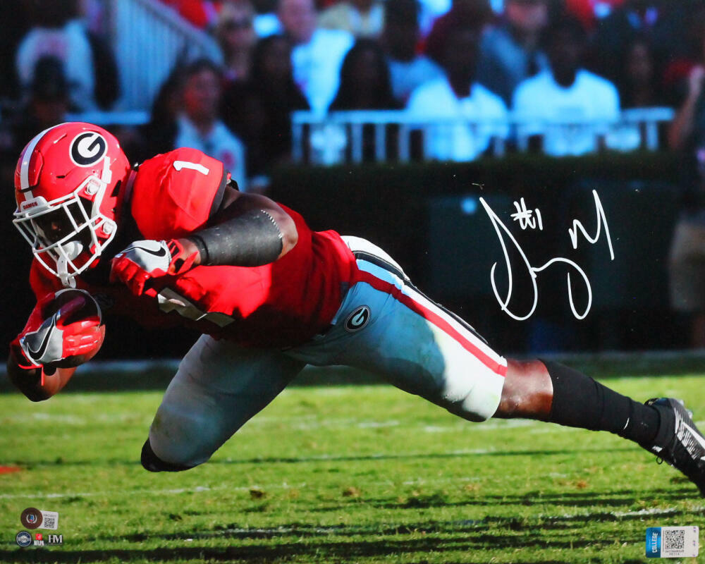 Sony Michel Autographed Georgia TD 16x20 HM Photo Poster painting- Beckett W *White