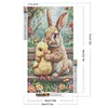 (40*70cm)Rabbit - Full Round Drill Diamond Painting