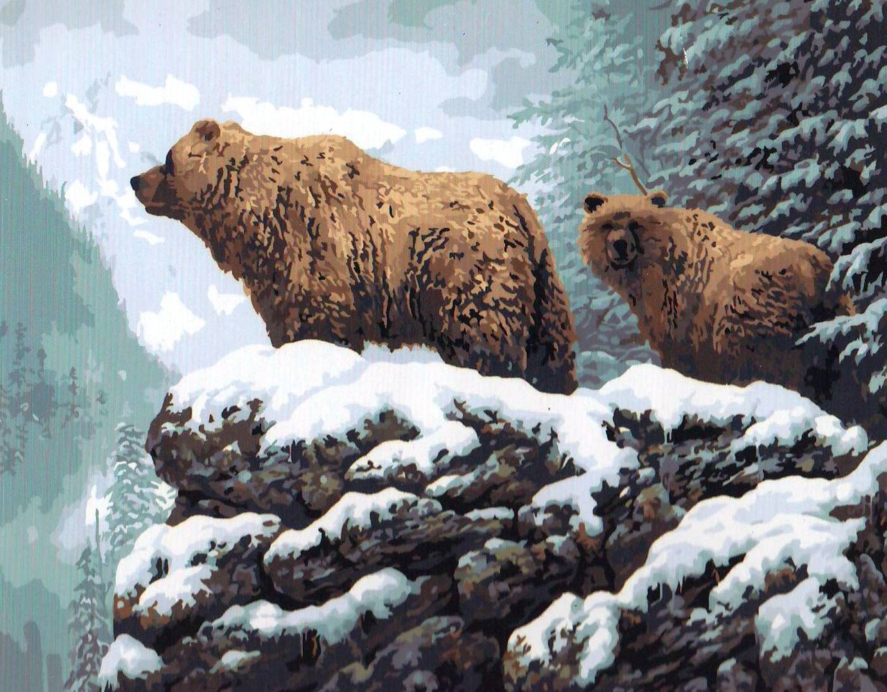 

Bear and Cub – Paint By Numbers - 40*50CM, 501 Original