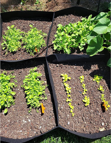 Non-Woven Fabric Plant Beds