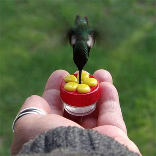 Handheld Mini Hummingbird Hand Feeder 