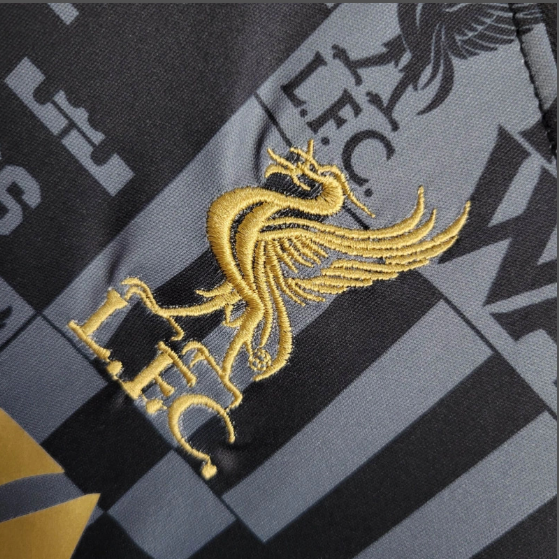 24/25 Liverpool Special Edition Kids Kit Football Jersey Thai Quality