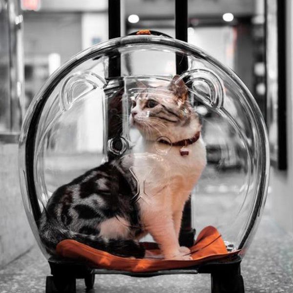 The Classic Taste Original Total Transparent Pet Carrier
