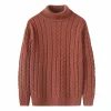 thick turtleneck solid color sweater