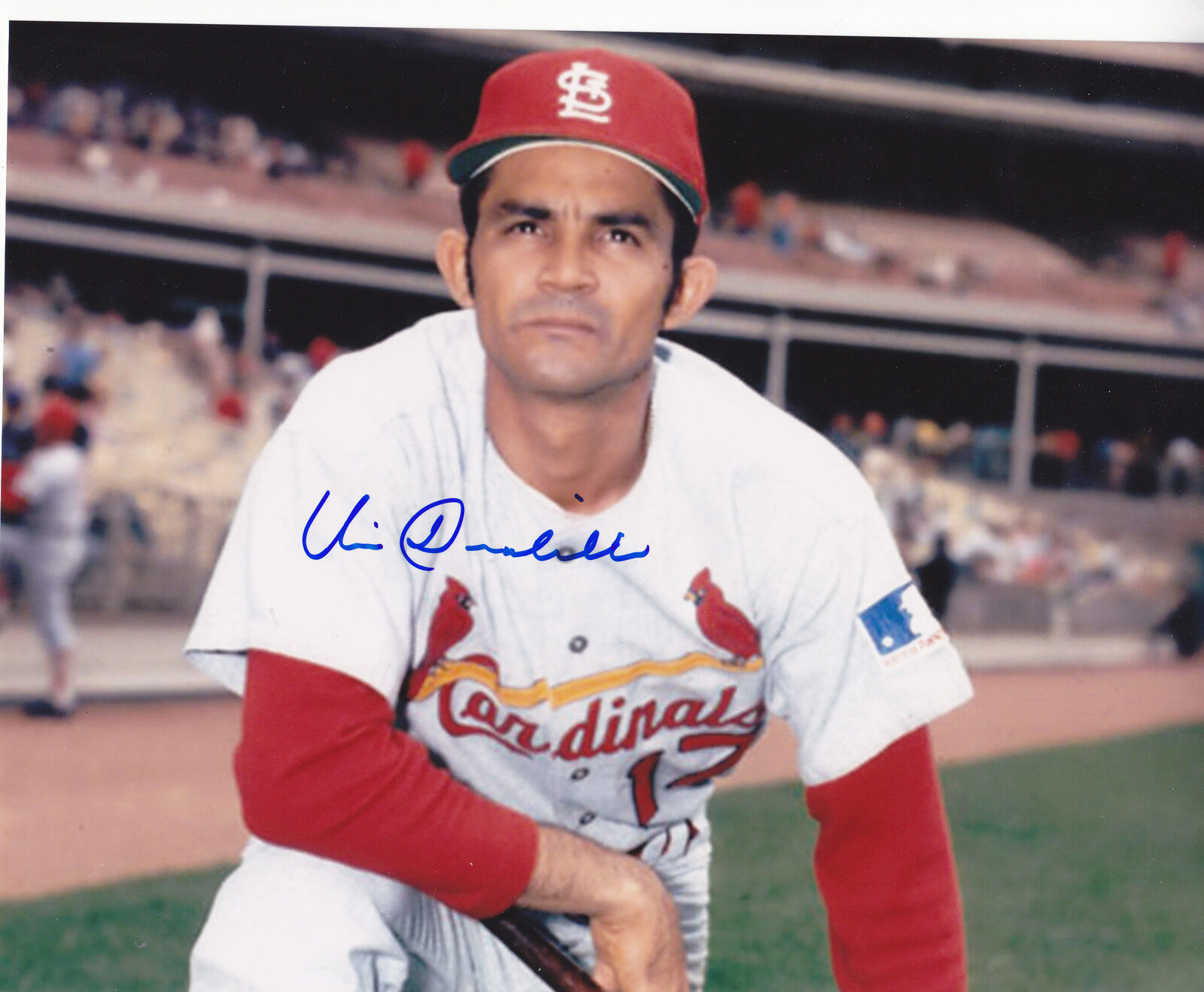 VIC DAVALILLO ST. LOUIS CARDINALS ACTION SIGNED 8x10