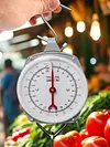 Fish Scales with 2 Hooks Mechanical Pointer Hook Scale Practical Handheld Scale