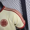 Retro Player Version Colombia Yellow Soccer Jersey
