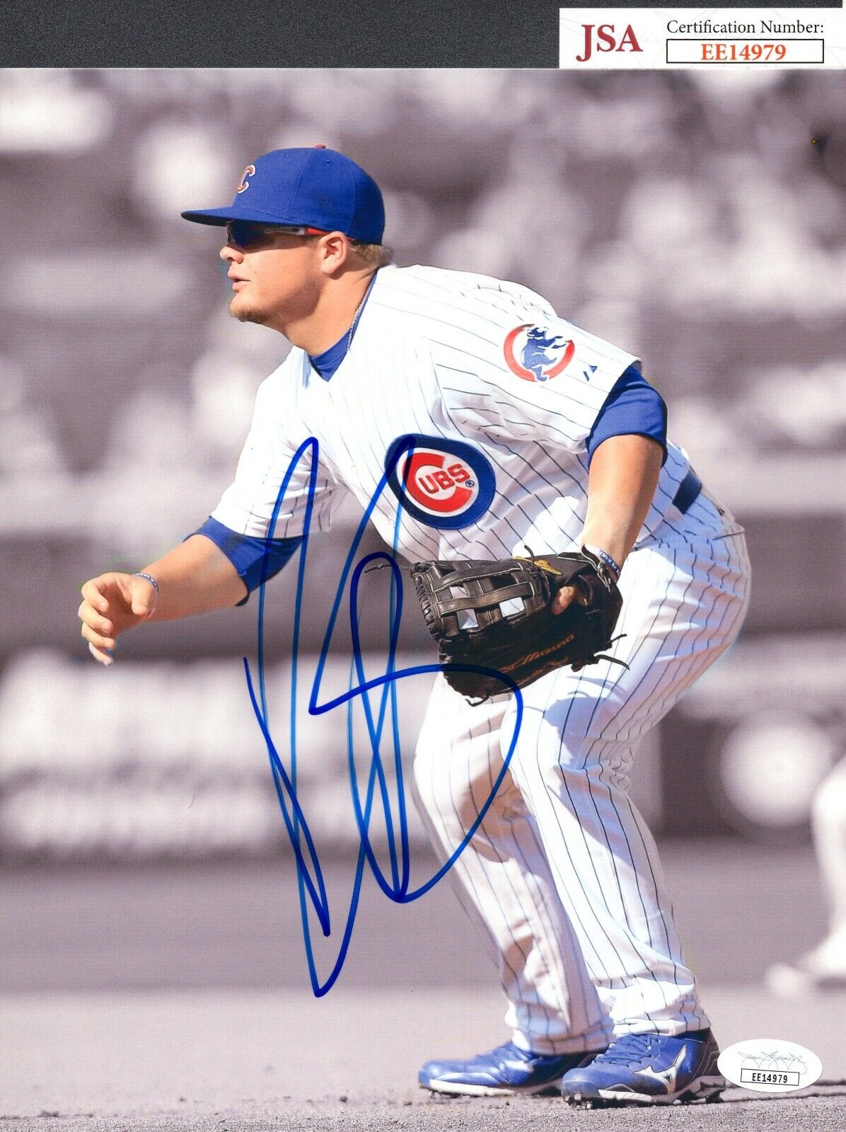 JSA Daniel Vogelbach Autographed Signed AUTO 8x10 Photo Poster painting Chicago Cubs TRB 352