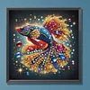 DIY Partial Special Shaped Drill Diamond Painting-Fish