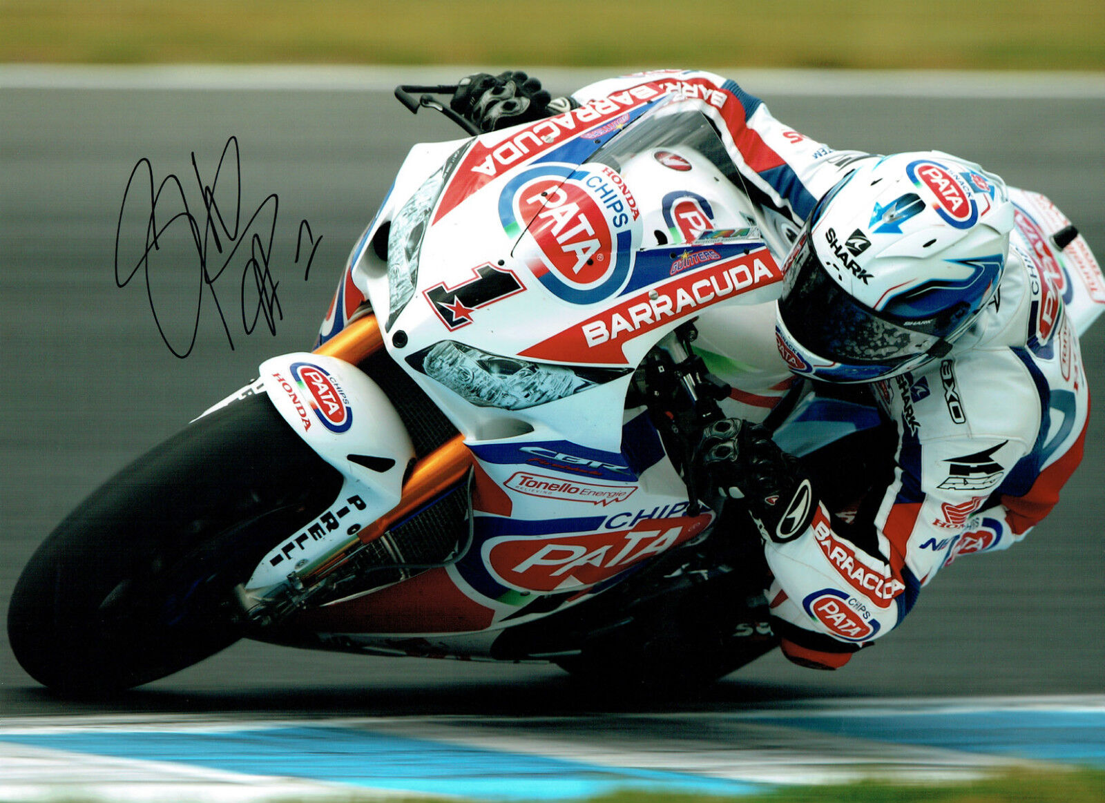 Sylvain GUINTOLI SIGNED Autograph World No1 Superbikes 16x12 Photo Poster painting AFTAL COA