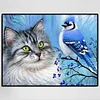 Oiseau de chat - Compl&egrave;te Rond Peinture au Diamant  40*30cm