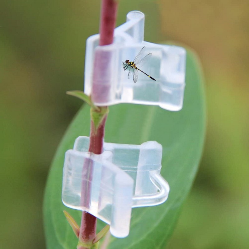 

100pcs Plant Clips Mini Clear Plastic Grafting Clamps Seeding Supports, 501 Original