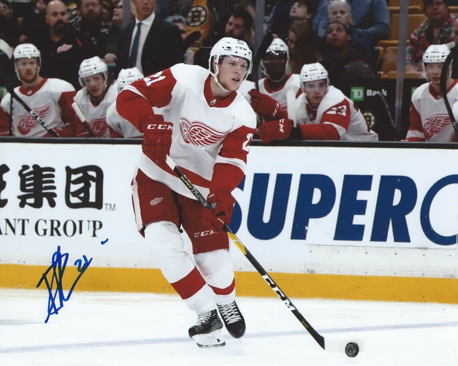 Dennis Cholowski Signed 8x10 Photo Poster painting Detroit Red Wings Autographed COA D