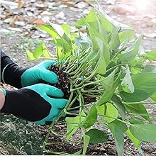 Gardening Gloves
