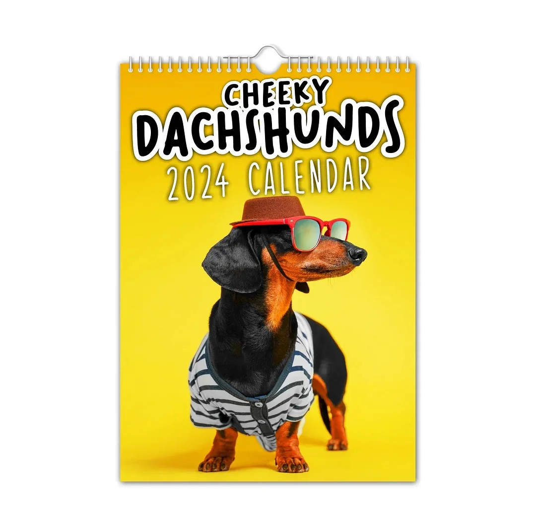 🐶Cheeky Dachshunds - 2024 Wall Calendar