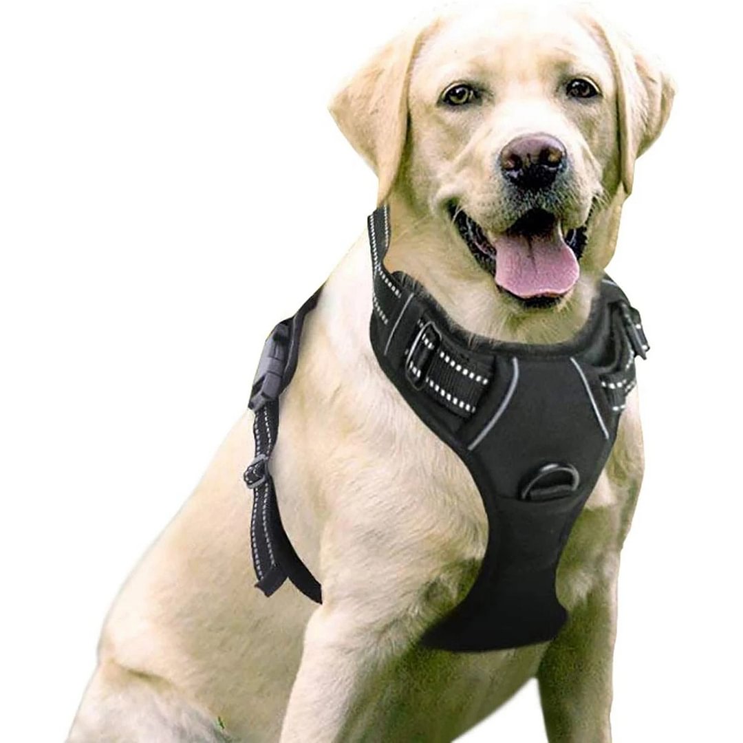 Rabbitgoo Dog Harness, No-pull Pet Harness With 2 Leash Clips, Adjustable Soft Padded Dog Vest