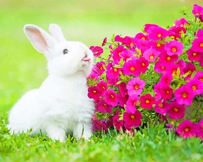

White Rabbit With Flowers – Paint By Numbers - 40*50CM, 501 Original