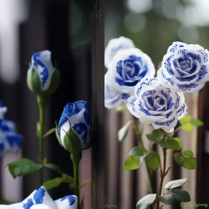 Rare Blue Ink Rose Seeds🔥2024 Newest