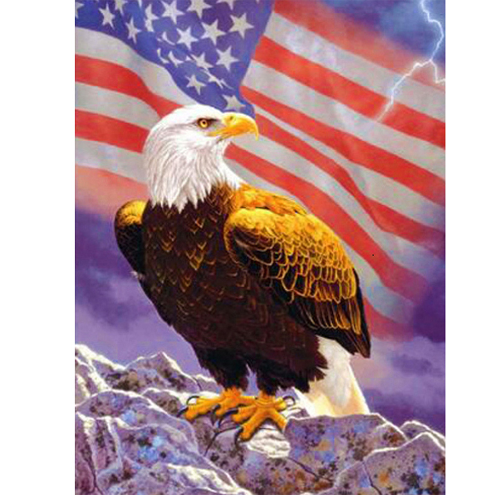 

Flag Eagle - Square Drill Diamond Painting - 30*40CM, 501 Original