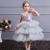 Girl Ceremonies Dress Wedding Party Birthday Gown Vestidos Tutu Dress - honeylives