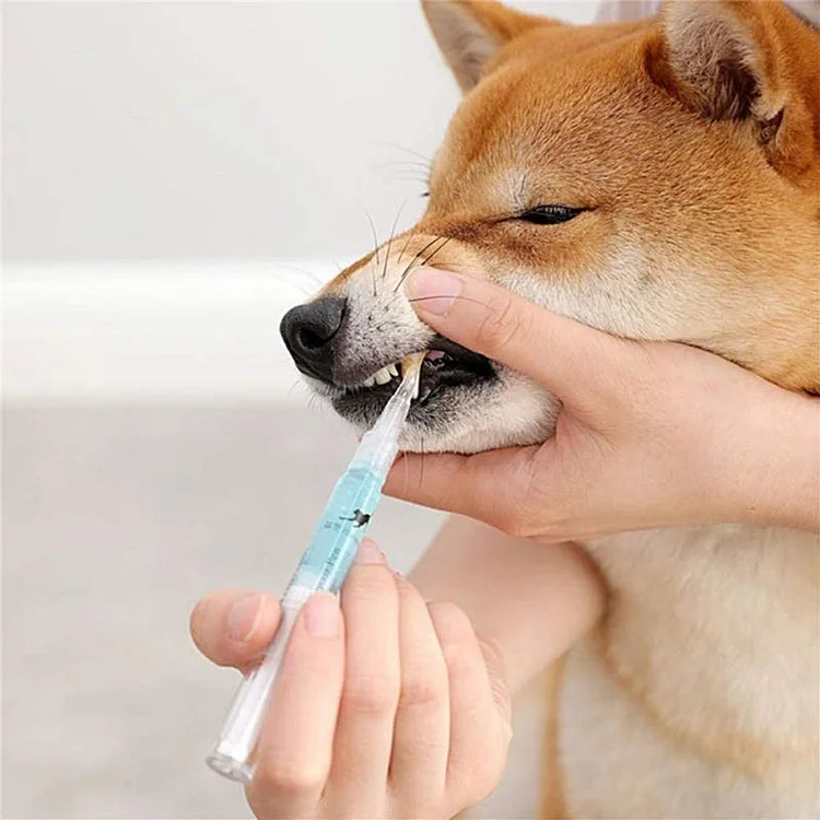 Pet Teeth Cleaning Pen | 168DEAL