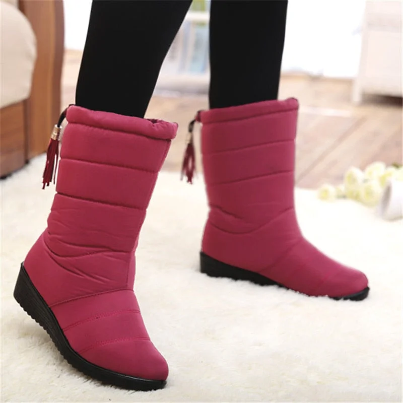 Boots Women Winter Snow Boots Female Tassel Down Girls Ankle Boots Ladies Botas Shoes Woman Warm Fur Botas Mujer 2021