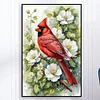 (40*60cm)Cardinal - Full Round Drill Diamond Painting