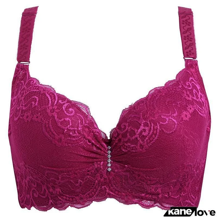 Women's Plus Size Big Cup Sexy Lace Underwire Bra