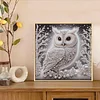 Snow Glow Owl -Special Shaped Diamond Painting