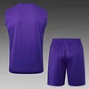 Joyfball 2025/2026 Real Madrid pre-match training Purple Jersey+Shorts  1:1 Thai Quality