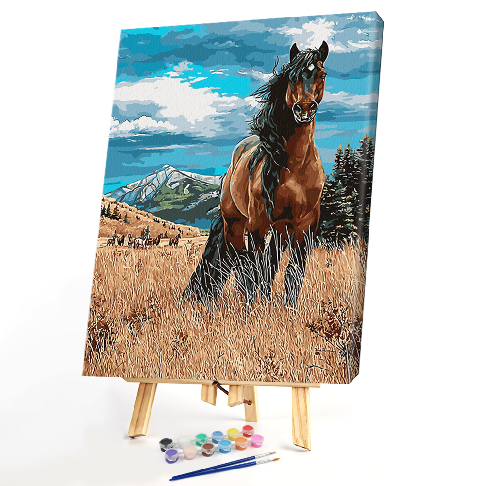

40*50CM Paint By Numbers-Desert Horse, 501 Original