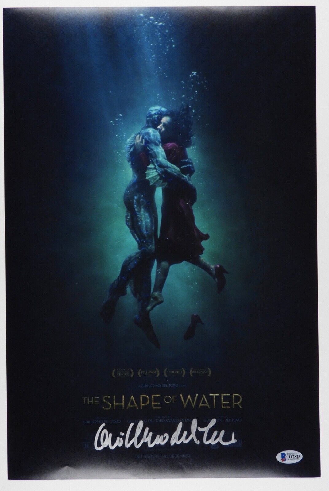 Guillermo Del Toro Autograph Beckett 12 x 18 Signed Photo Poster painting The Shape Of Water