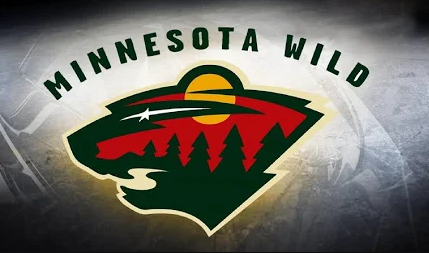 

Hockey Minnesota Wild - Round Drill Diamond Painting - 40*30CM, 501 Original