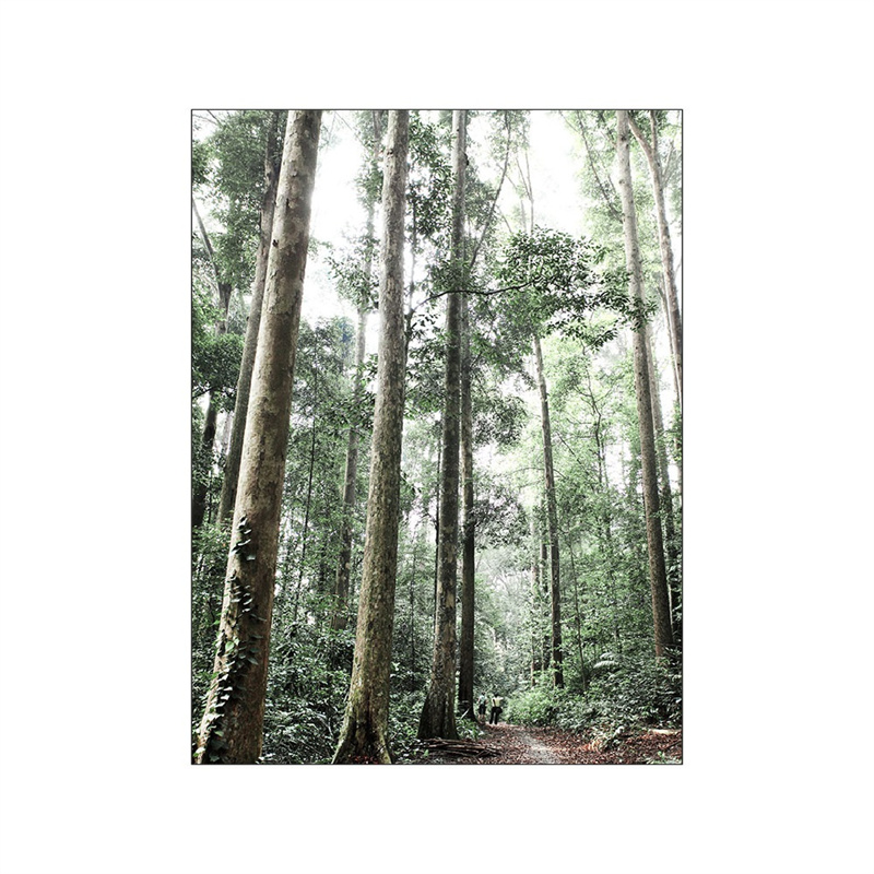 Modern Art Canvas Painting Green Forest Waterfall Landscape Poster Panda Flower and Bird Image Hotel Background Wall Decoration