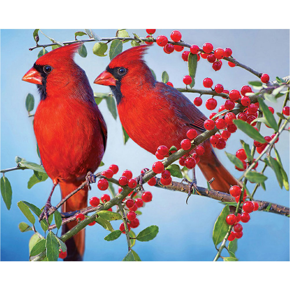 

Cardinals - Round Drill Diamond Painting - 60*50CM (Big Size), 501 Original