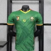 2025 Player Version Cameroon Soccer Jersey Home