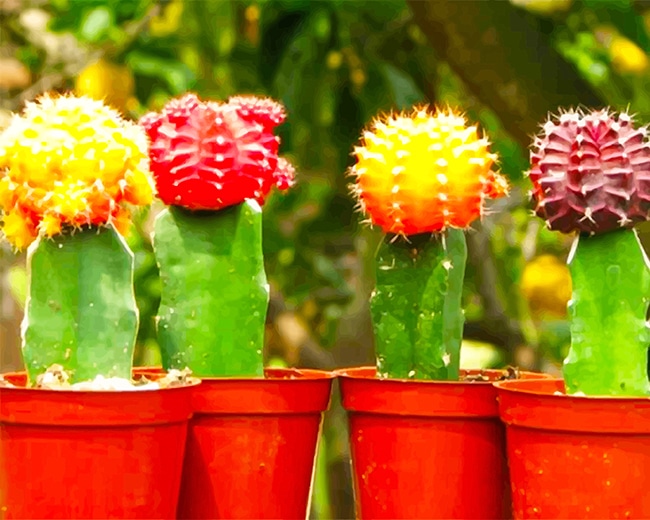 

Colorful Cactus – Paint By Numbers - 40*50CM, 501 Original