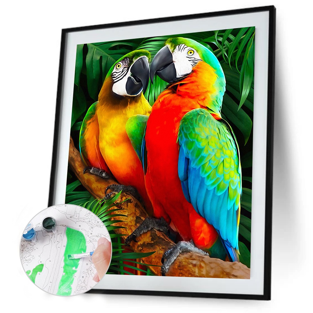 

40*50CM - Paint By Numbers - Parrot, 501 Original