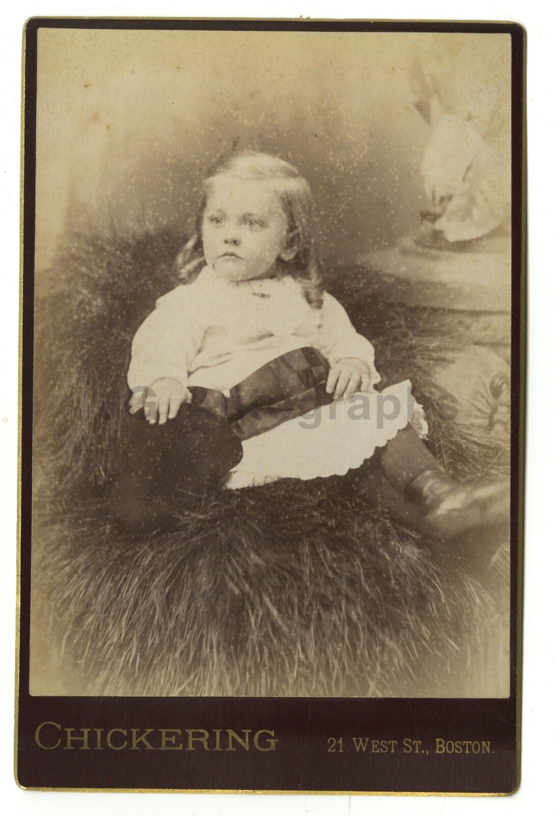 19th Century Children - Original 19th Century Cabinet Card Photo Poster painting - Boston, MA