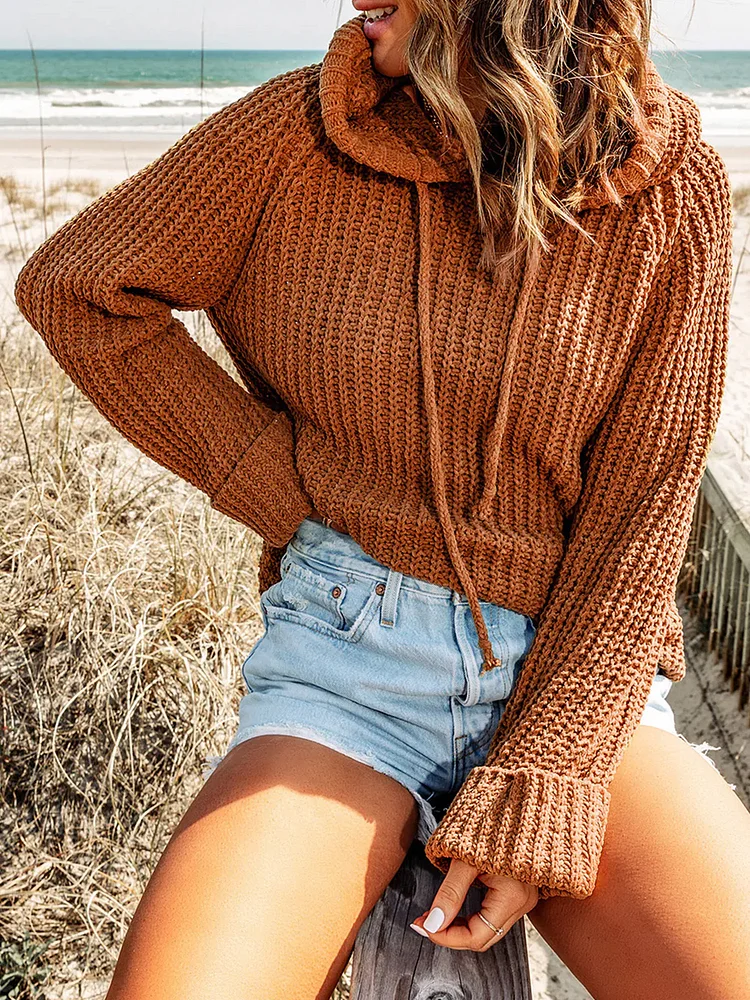 Women Solid Long Sleeve Sweater