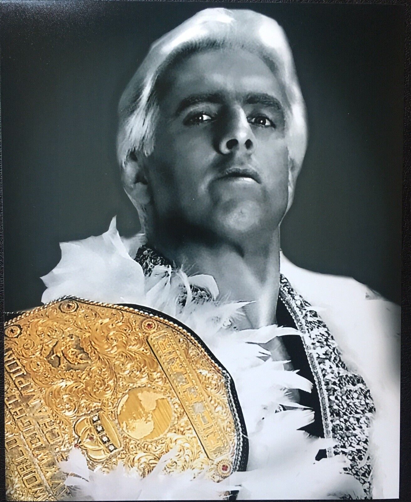 Ric Flair Wrestling Poster 12x18 WWE NWA WCW four Hoursemen